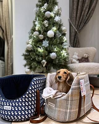 Sand Sheltie Luxury Dog Carrier