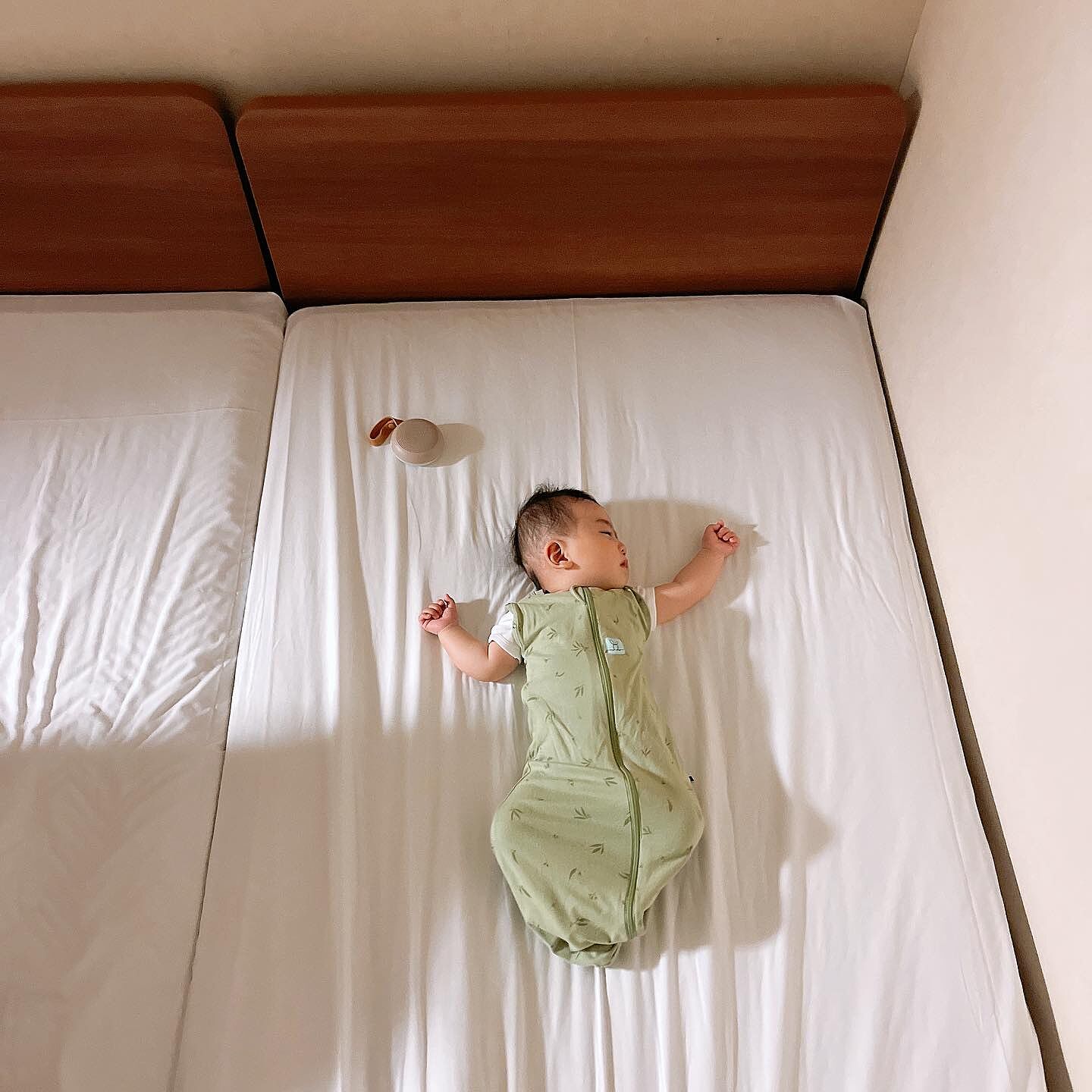 Cocoon Swaddle Bag 0.2TOG コクーンスワドルバッグ （新生児