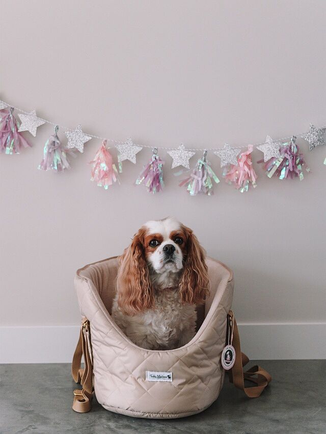 NEW! The Chelsea Champagne Quilted Dog Carrier