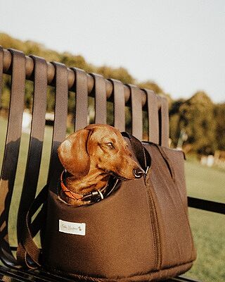 'The Adventurer' Waterproof Adjustable Luxury Dog Carrier