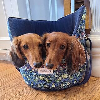 Strawberry Thief Adjustable Luxury Dog Carrier