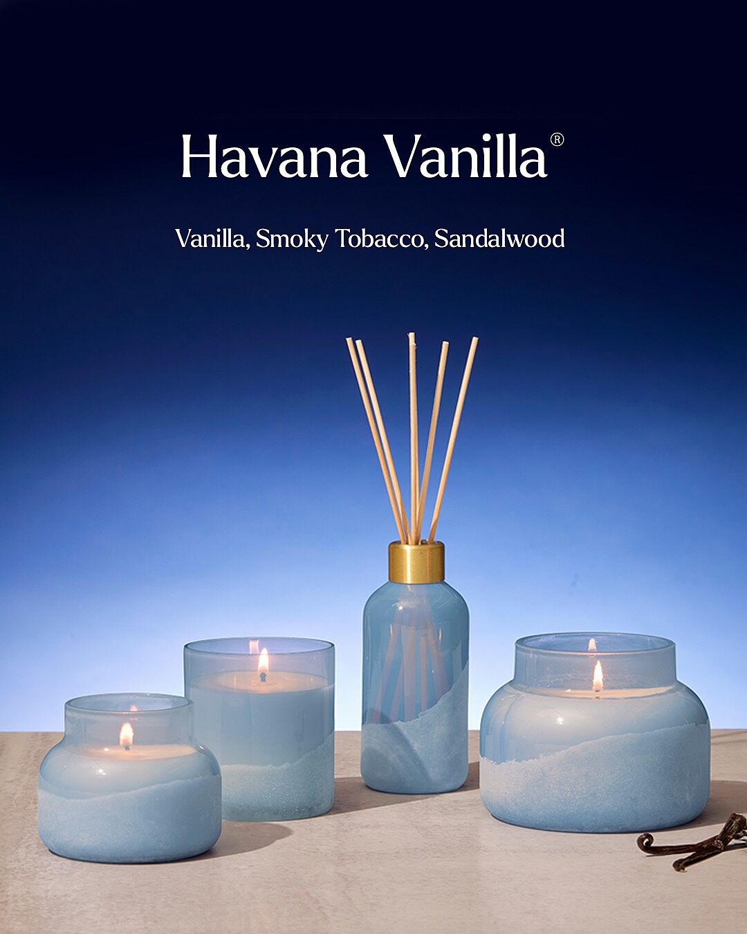 Havana Vanilla Petite Candle - Luce D'Amalfi | Capri Blue