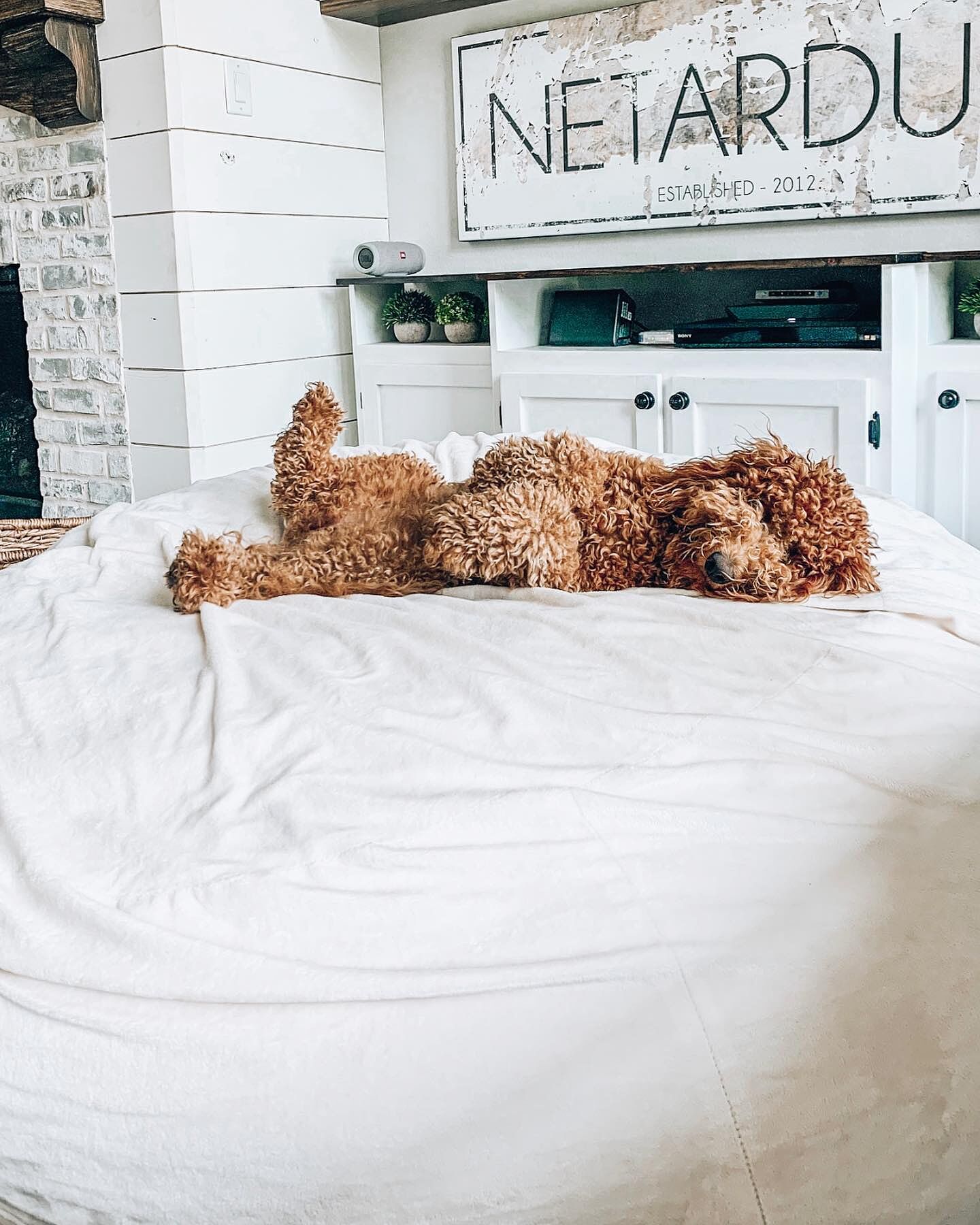 ultimate ensacark bean bolsa