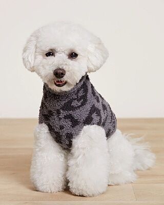 Barefoot Dreams 犬服　XS low_resolution.jpg