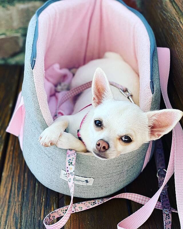 'The Melody' Pink & Grey Luxury Dog Carrier
