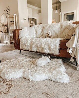 PupRug® Orthopedic Bed + Matching Waterproof Blanket Bundle - White with Brown Accents