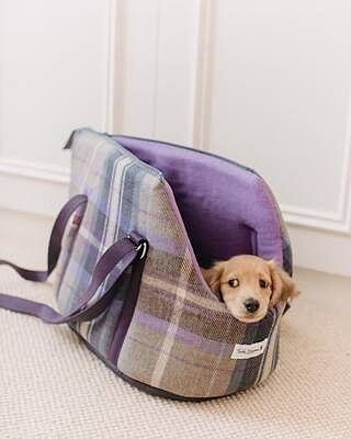 The Cambridge Adjustable Purple Taupe Soft Sided Luxury Dog Carrier