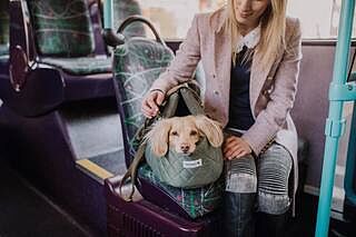 'The Explorer' Quilted Comfort Luxury Dog Carrier