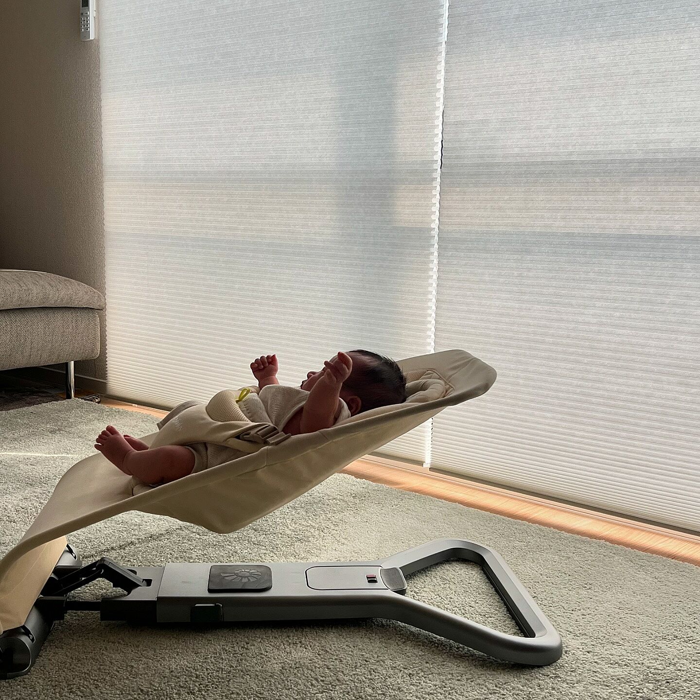 3-In-1 Evolve Baby Bouncers | Ergobaby