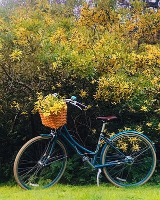 public bikes kids front bike basket