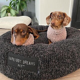 CozyChic® Ribbed Pet Sweater | Barefoot Dreams®