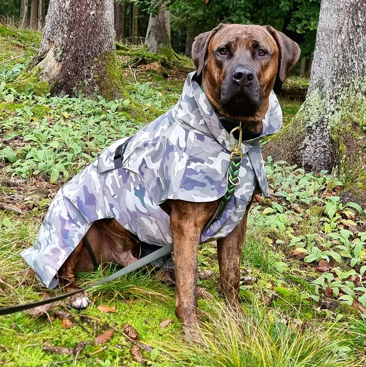 PAIKKA Recovery Raincoat Camo