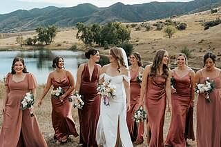 Dylan Velvet Dress | Home Try On