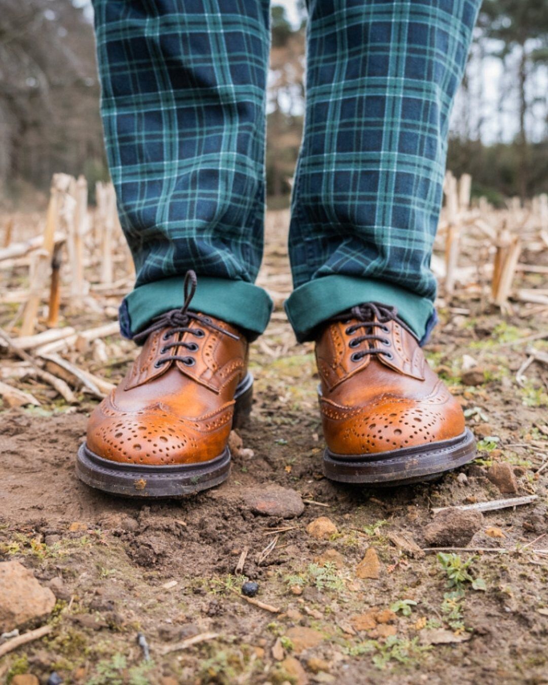 SPECIALs Tricker's × GARCONS BOURTON bourton-country-shoe-c-shade-