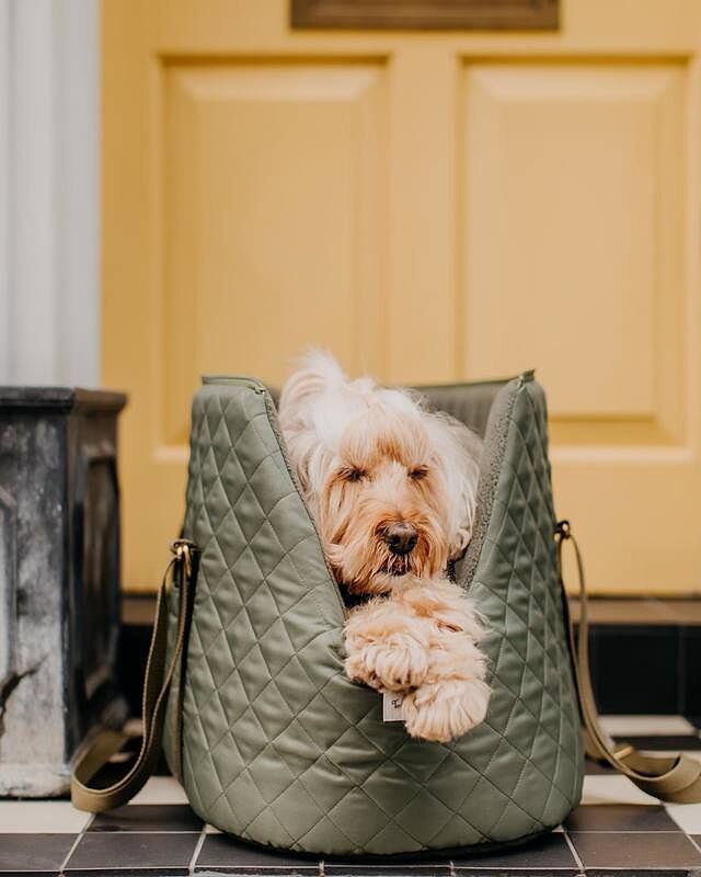'The Explorer' Quilted Comfort Luxury Dog Carrier