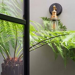 Brooklyn Outdoor & Bathroom Wall Light