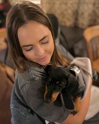 The Belgravia Luxury Dog Harness