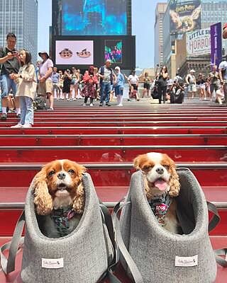 'The James' Charcoal Grey Luxury Dog Carrier