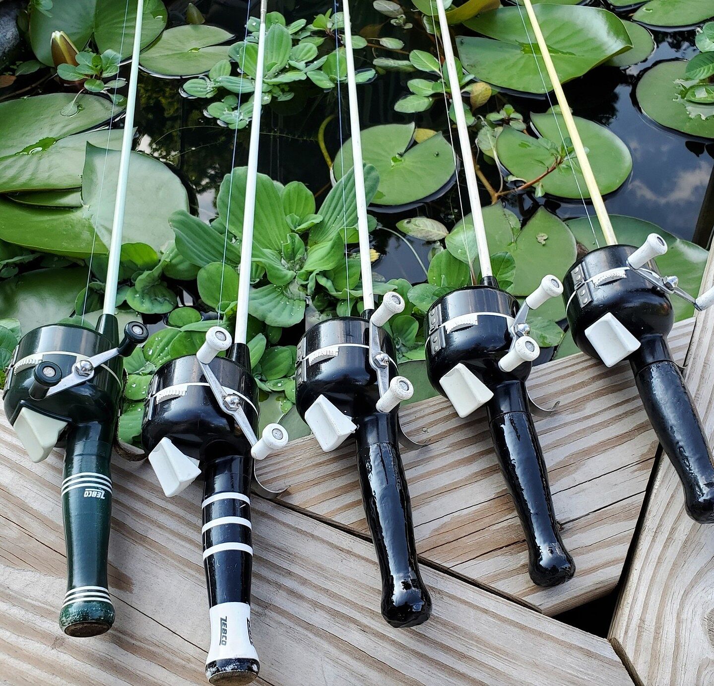 Zebco | Zebco Fishing