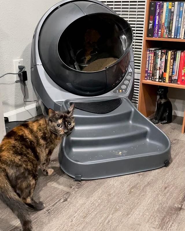 litter robot reddit