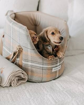 Sand Sheltie Adjustable Plaid Tweed Luxury Dog Carrier