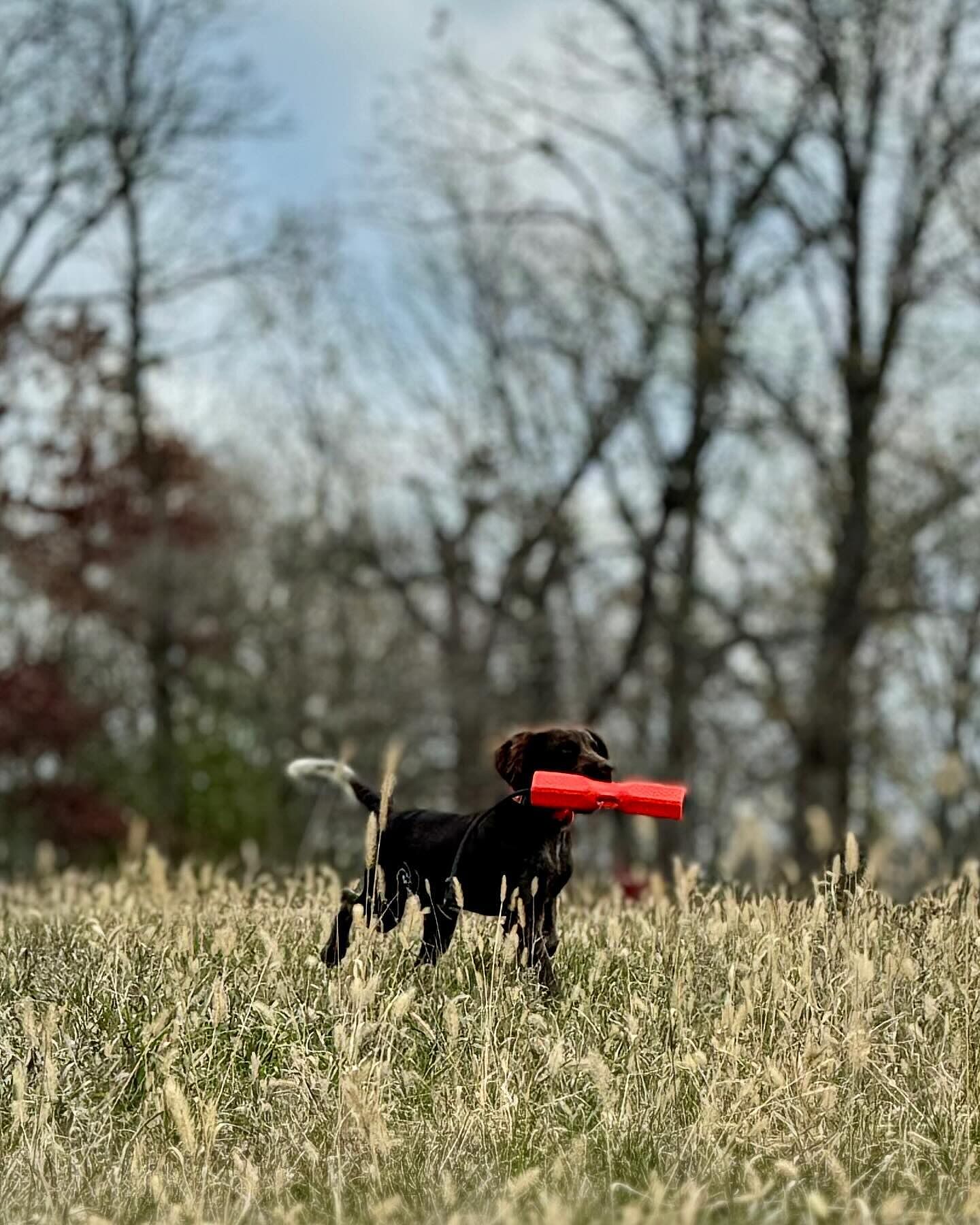 2 Pcs Dog Bumpes Canvas Taining Dummy Hunting Dog Taining