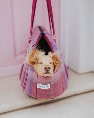 Pink Sheltie Adjustable Plaid Luxury Dog Carrier