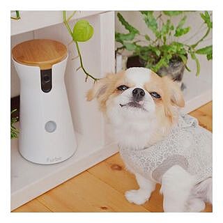 公式 Furbo ドッグカメラ まもなく終了 過去最安値12 500円off ブラックフライデー開催中