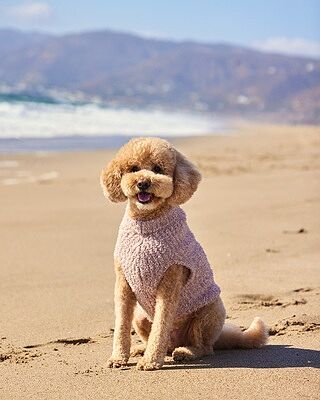 CozyChic® Ribbed Pet Sweater | Barefoot Dreams®