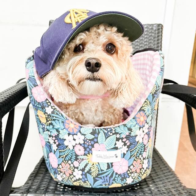 Chelsea Garden Luxury Dog Carrier - Black/Pink