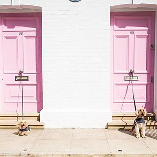 'The Melody' Grey & Pink Luxury Dog Coat