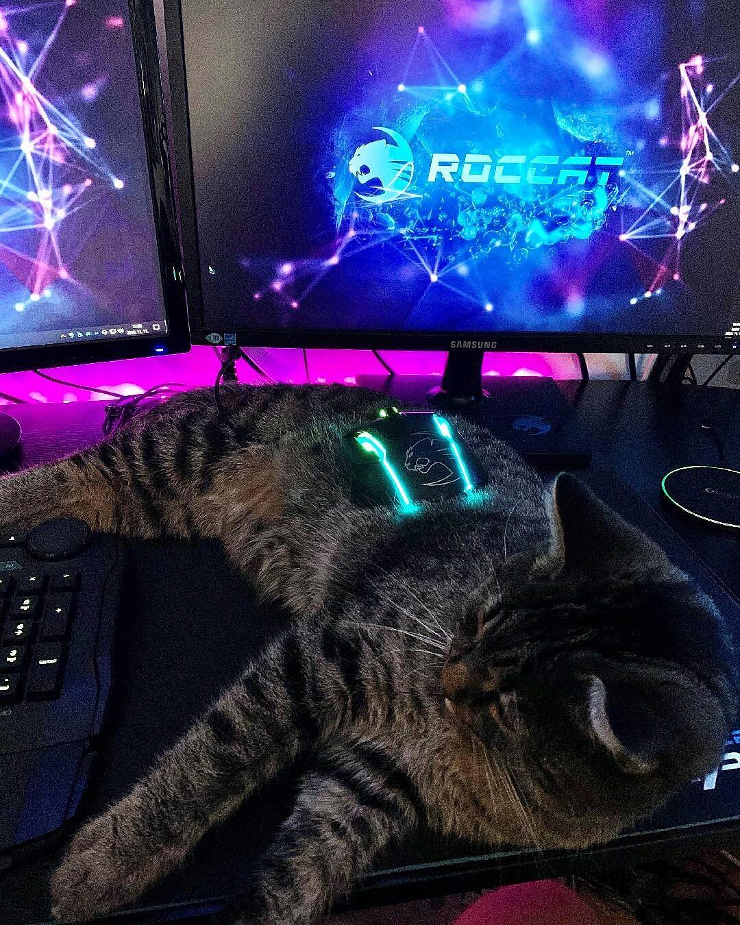 Roccat Gaming