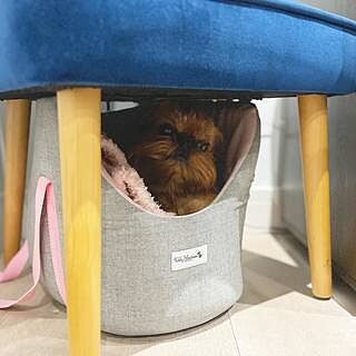 'The Melody' Pink & Grey Luxury Dog Carrier