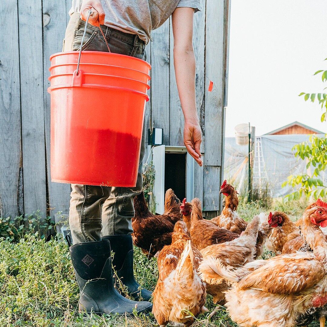 muck womens chore mid