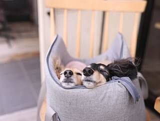 'The Marylebone' Light Grey Luxury Dog Carrier