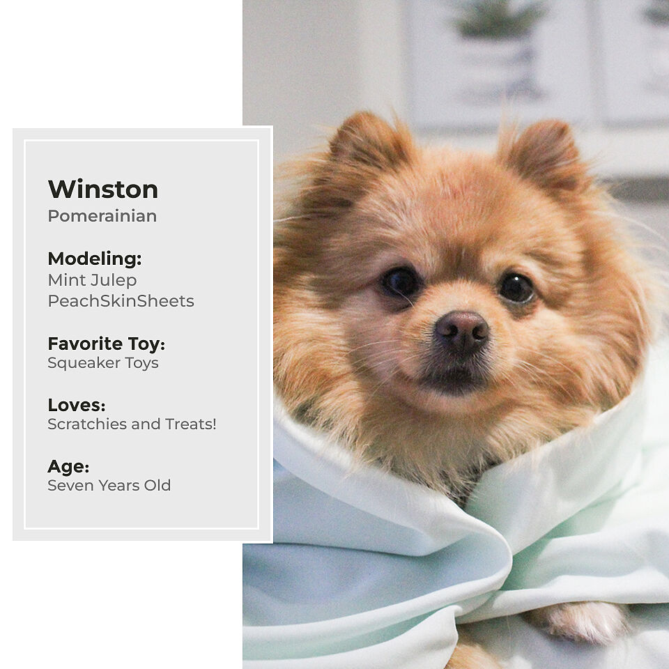 We Love Our #PeachSkinPets | The Original PeachSkinSheets® – The