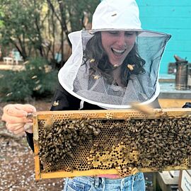 A moment from the Savannah Bee hive
