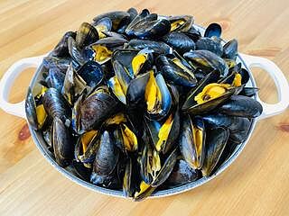 *Pre order Sep 16th* France Live Blue Mussels / *預訂9月16號* 法國活藍青口 (700g)