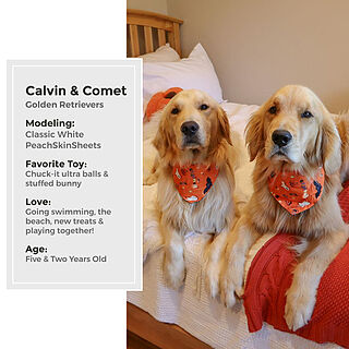 Classic White Sheet Set