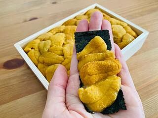 *31st May* Hokkaido Nemuro B Grade Bafun Uni/ 北海道特選 馬糞海膽 (250g)
