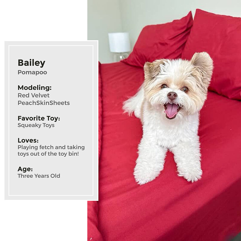 We Love Our #PeachSkinPets | The Original PeachSkinSheets® – The