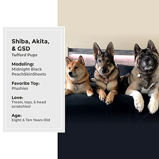 Midnight Black Sheet Set