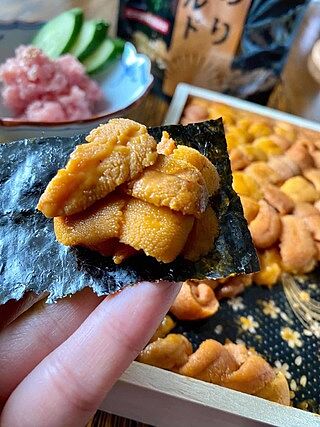 *31st May* Hokkaido Nemuro B Grade Bafun Uni/ 北海道特選 馬糞海膽 (250g)