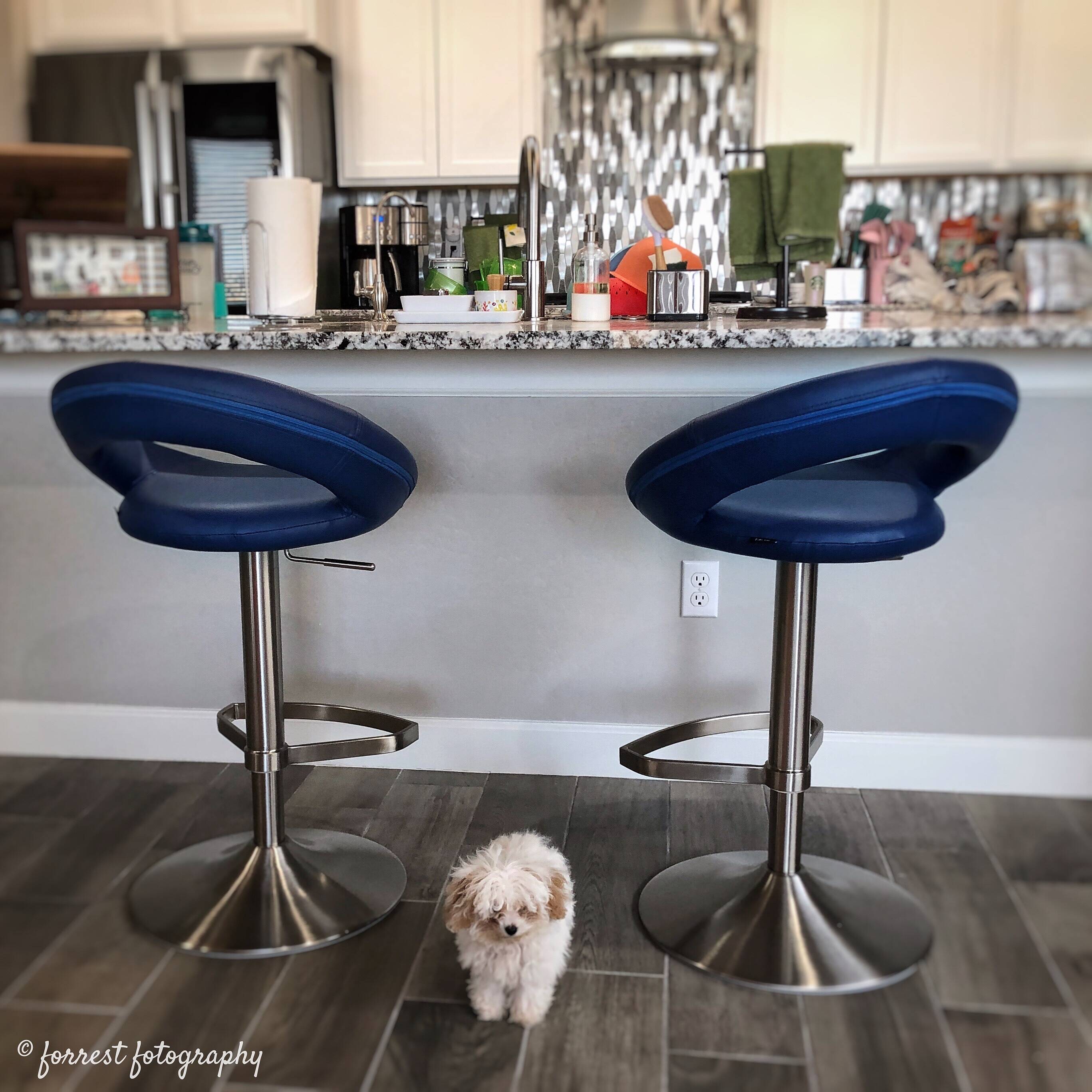 Cobalt blue bar discount stools